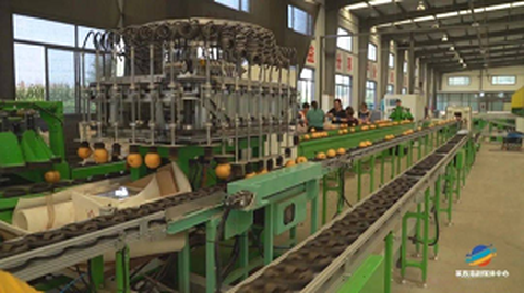 An Fóram um Sheirbhís Bunús um Chaighdeánú Torthaí den Chéad Uair